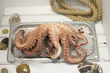 Whole Cooked Maya Octopus (Red), Wild Caught, 2/4, per lb
