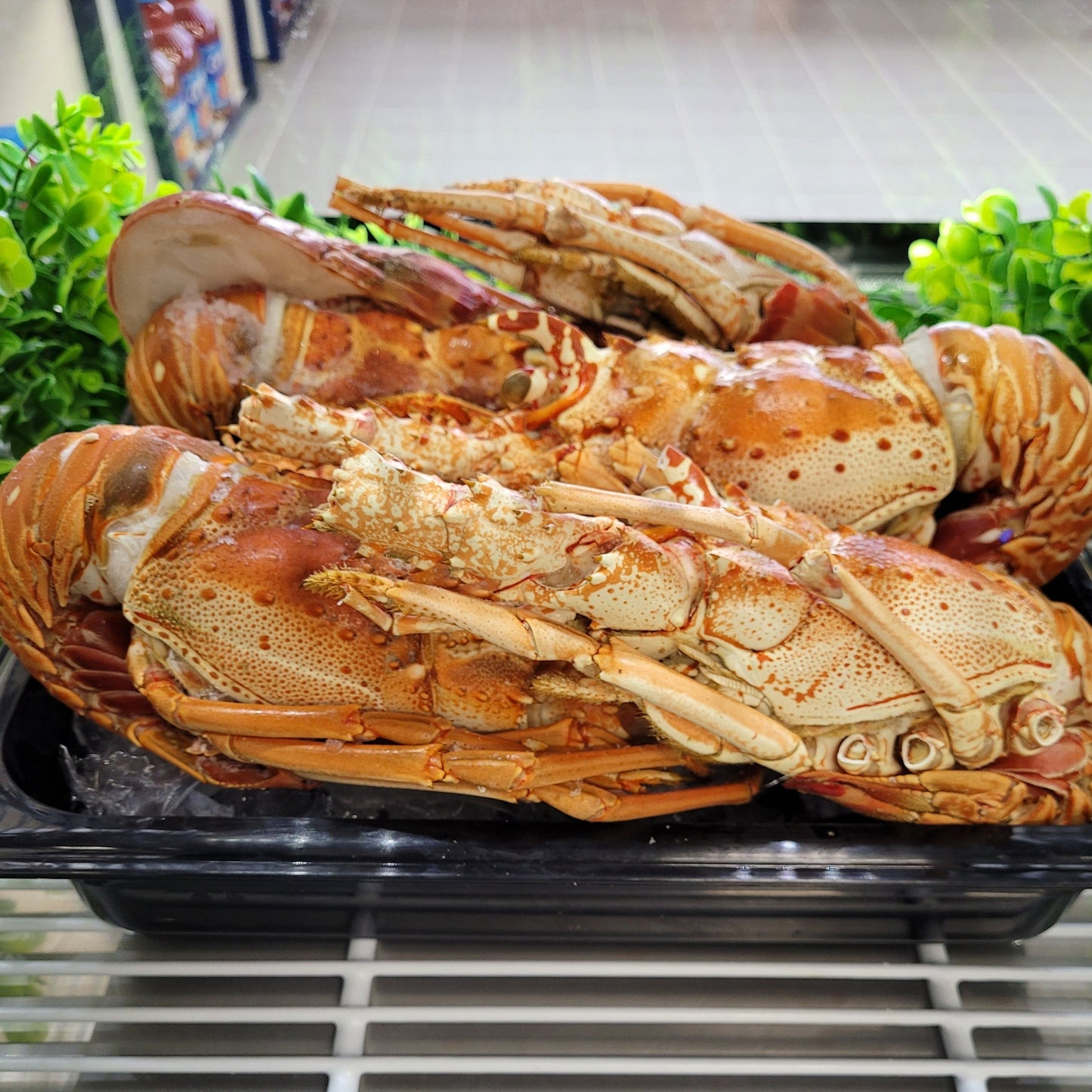 Whole Cooked Spiny Lobster, per lb